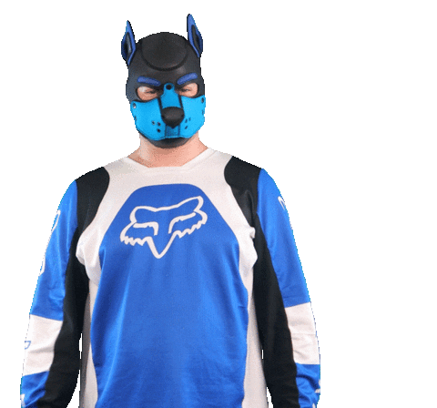 Blue Fox Sticker