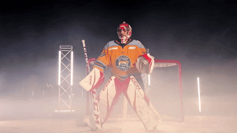 Hockey GIF by Toledo Walleye
