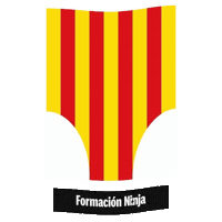 Comunidad Valenciana Flag Sticker by Formación Ninja