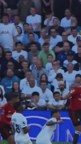 cody2023456 giphycreatortest vicario vicario save vicario tottenham GIF