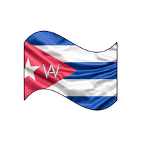 Car Wash Water Sticker by Alvato Luxury Detailing