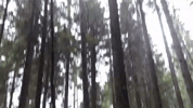ThenexSportOG thenex thenexsport GIF