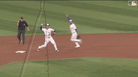 Celebrate Blue Jays GIF by Toronto Blue Jays