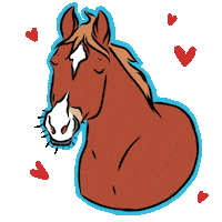 HoefWijzer horse paard arabian naps Sticker