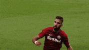 goal fly GIF by FC Red Bull Salzburg