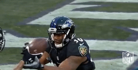 Baltimore Ravens Football GIF by NFL