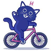 crazycattransfer hello crazycattransfer Sticker