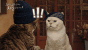 치킨 마요 GIF