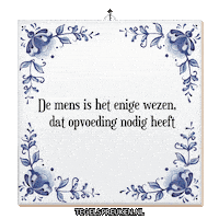 Humor Wijsheid Sticker by Tegelspreuken.nl