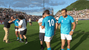 World Rugby Win GIF by Rugby World Cup
