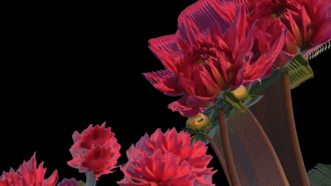 Colleenburnsmusic  GIF