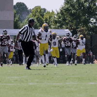 Lsu Football Win GIF by LSU Tigers