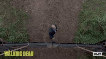 twd GIF by The Walking Dead