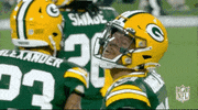 Green Bay Packers Football GIF by NFL