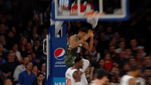 GIF by NBA