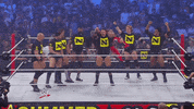 wwe sports wwe wrestling 2010 GIF