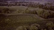 Farm Life Earth GIF by Cornbread Hemp