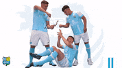 Cfc GIF by ChemnitzerFC