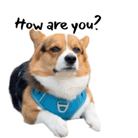Corgi Milo Sticker