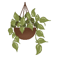 Plants Cactus Sticker