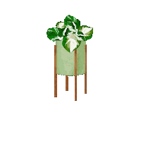 Leaf Leaves Sticker by Neverland