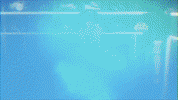 baseball wave GIF by GreenWave