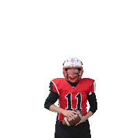 stuttgartscorpionssisters sisters stuttgart referee ref Sticker