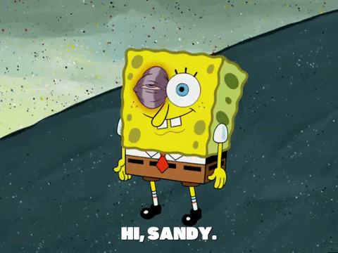 season 5 blackened sponge GIF by SpongeBob SquarePants