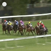 Sport Win GIF by World Horse Racing