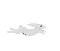 Pace Sticker by Pacemaker Products