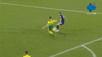 Norwichcity GIF by MolaTV