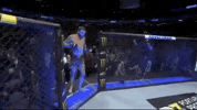 ufc sports sport ufc mma GIF