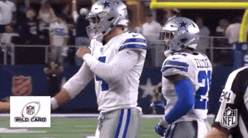 2018 Nfl Football GIF by NFL