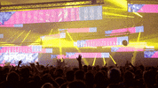 festival belgium GIF by Pukkelpop
