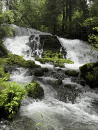 Oregon Waterfall GIF