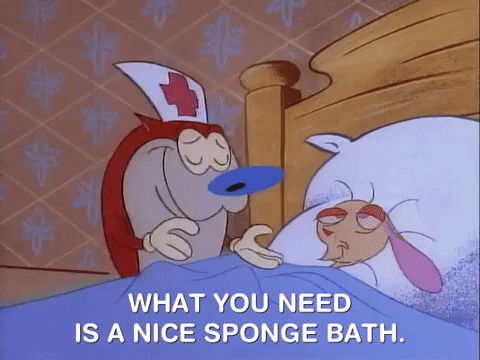 ren and stimpy nicksplat GIF