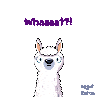 Sheep What Sticker by VeeFriends