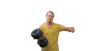 lifelion dance like nice swipe up Sticker