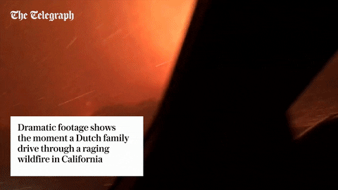 fire california GIF by The Telegraph
