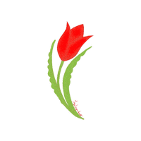 InfoShymkent spring tulip kazakhstan tulips Sticker
