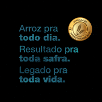Arroz GIF by BASF Soluções para a Agricultura