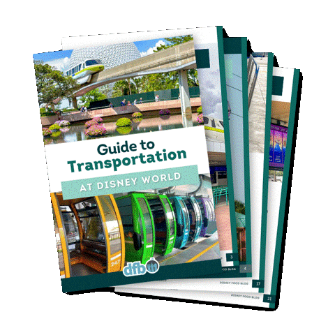 Disney World Ultimate Guide Sticker by DisneyFoodBlog