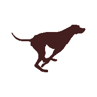 Dog Sticker