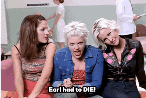 The Chicks GIF by EricaLYNN