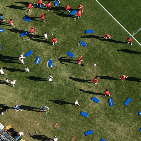 Bayer 04 Bundesliga GIF by Bayer 04 Leverkusen