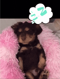 Sleepy Cute Puppy GIF