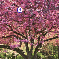 Flowers Look GIF by Learner Circle