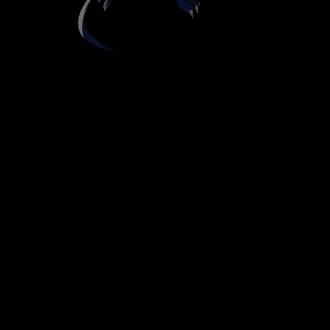Flying Here I Am GIF by VeeFriends