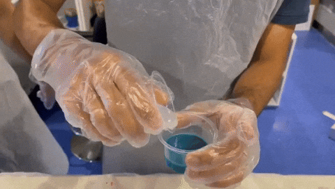 Saeed_Makhlooq giphyupload GIF