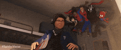 Spider-Man Movie GIF by Spider-Man: Into The Spider-Verse